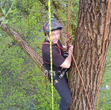 Axel Lux – Baumpflege